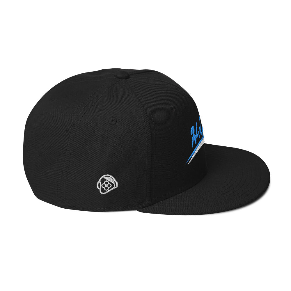 Flat Visor Black Snapback Hat